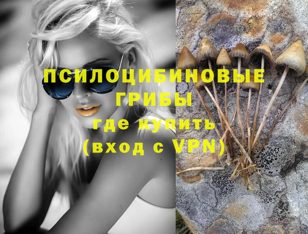 альфа пвп Няндома