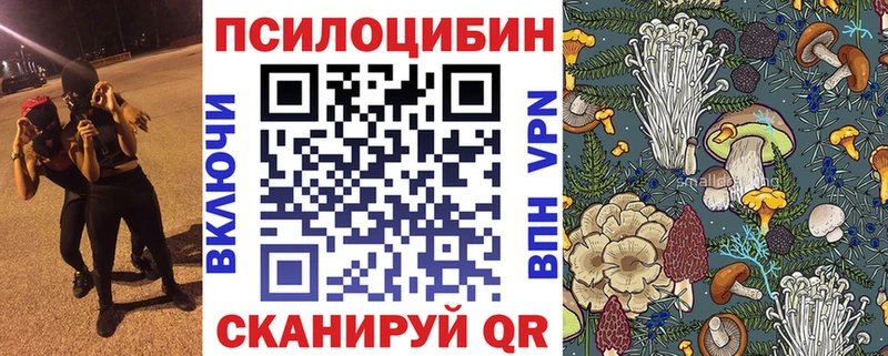 как найти Невельск Псилоцибиновые грибы прущие грибы